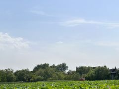 -云龙湖旅游景区