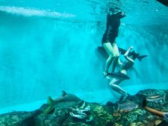 -太平洋海底世界