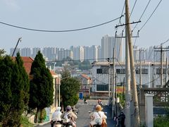 -养马岛旅游度假区