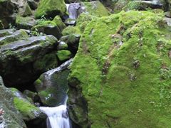 -藏龙百瀑风景区