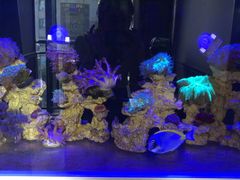 -网鱼网咖·电竞(中山友好广场店)