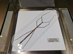 -上海昆虫博物馆