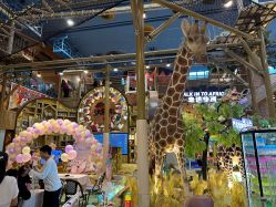-卡通尼·Safari非洲探索乐园·生日会(金桥国际商业广场店)
