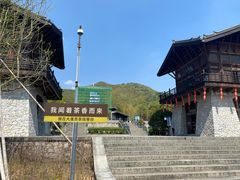 -大唐贡茶院