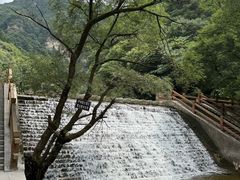 -少华山国家森林公园