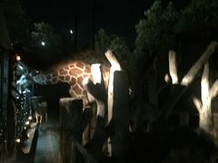 -清迈夜间动物园