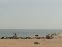 景点-老虎石海上公园