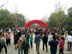 -迎泽公园