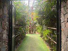 -呀路古热带植物园