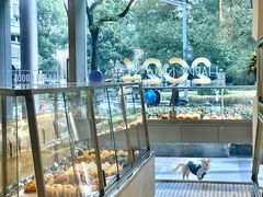 -81bakery(关山路店)