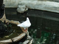 -西安大兴善寺