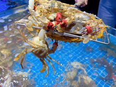 -前王院•巧克力海鲜市集餐厅(万平口店)