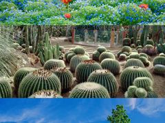 -上海辰山植物园