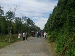 -上海海湾国家森林公园