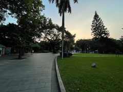 -荔湾湖公园