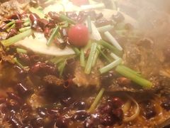 -老板恋上鱼(印象城店)