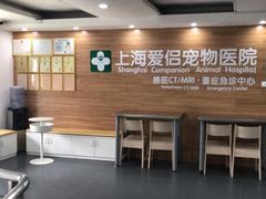 -爱侣宠医·鹦鹉专科·小型哺乳类·异宠专科(灵石路店)