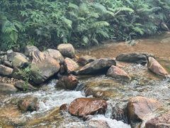 -广州白江湖森林公园