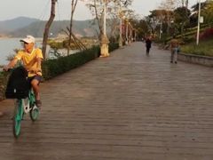 -西双版纳原始森林公园