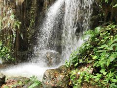 -华南国家植物园-售票处