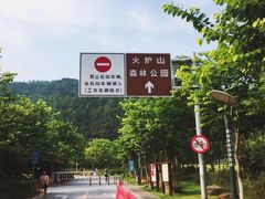 -火炉山森林公园