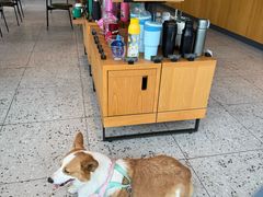 -星巴克臻选(上海合生汇1F店)