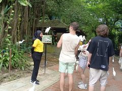 -吉隆坡雀鸟公园