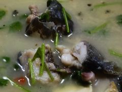 -煲来饱去冷水鱼