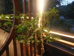 -随意茶庄·地道杭帮农家菜(梅家坞店)