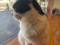 -萤火虫咖啡(后海店)