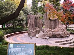 -神仙树公园
