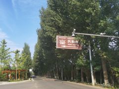 -兴教寺
