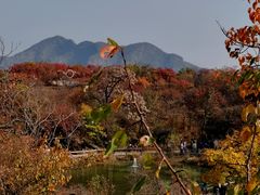 -周口店坡峰岭风景区