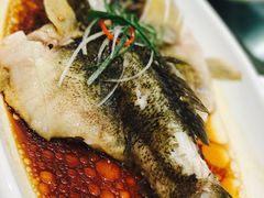 清蒸笋壳鱼-申宴酒楼(王子百货店)