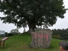 -邓小平故里