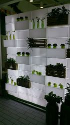 -悦诗风吟innisfree