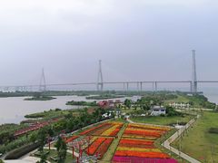 -芒洲湿地公园