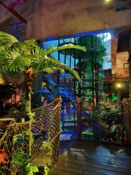 -恐龙探索乐园(磁器口店)