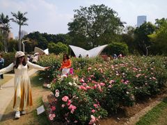 -人民公园(罗湖区)