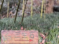 -杭州西湖风景名胜区-三生石