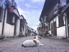 -绍兴书圣故里景区