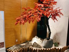 -璞·澐间影院式足道SPA(尚悦湾店)