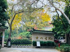 -紫金山山顶公园