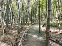 -宁波浙东大竹海景区