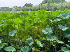 -云龙湖旅游景区