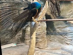 -洛阳龙门海洋馆