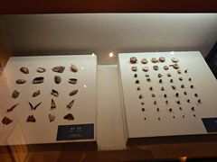 -昂昂溪遗址博物馆