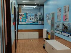 -瑞派·关忠动物医院·异宠专科·犬猫肿瘤·皮肤专科(望京店)