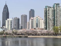 -西北湖绿化广场