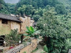 -杨家堂村